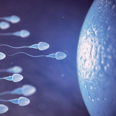 Advanced Sperm Selection in Karimnagar