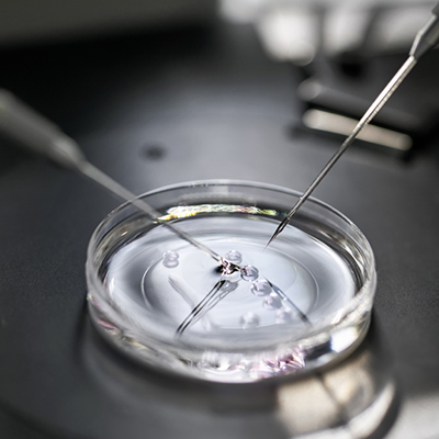 IVF Center In Karimnagar