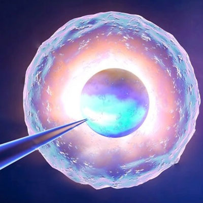 Laser Assisted Embryo Hatching in Karimnagar